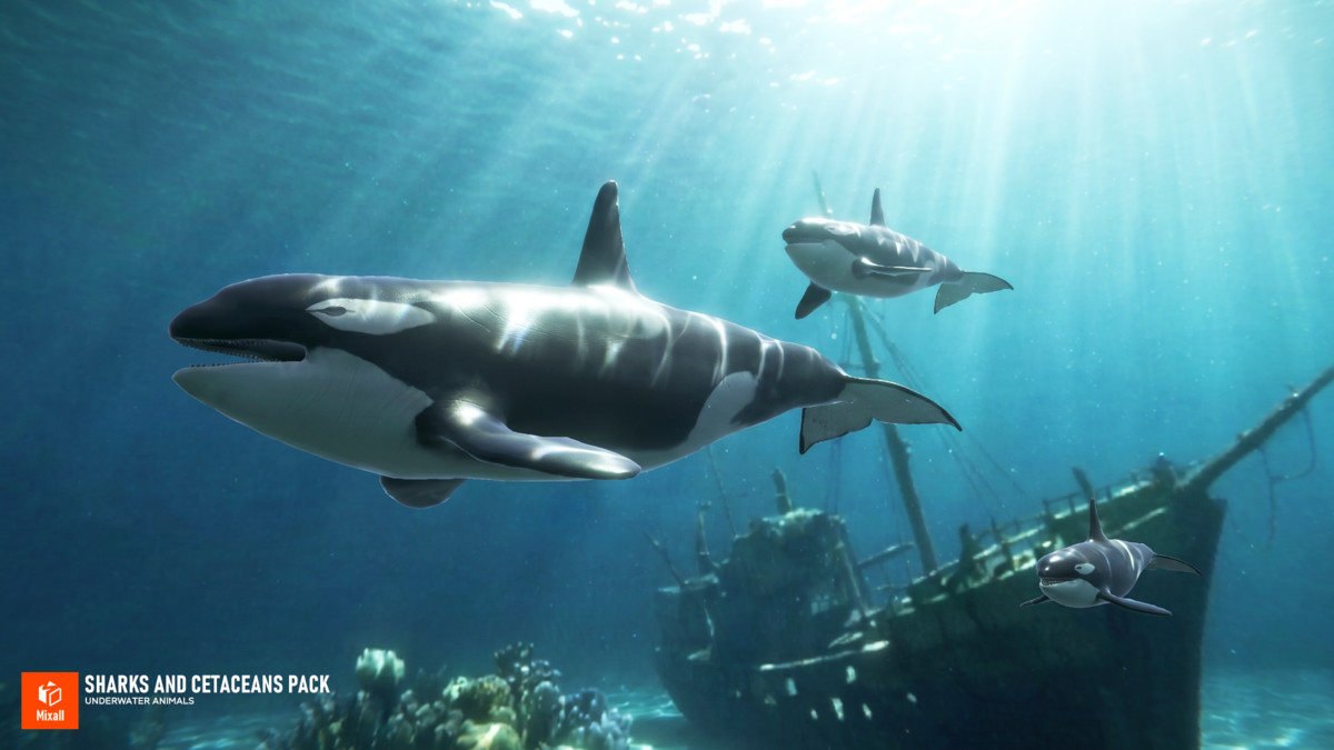 Sharks and Cetaceans Pack