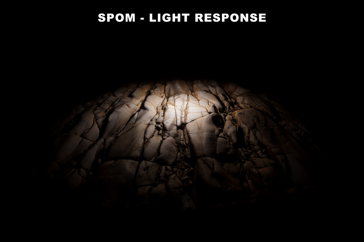 SPOM - Silhouette Parallax Occlusion Mapping