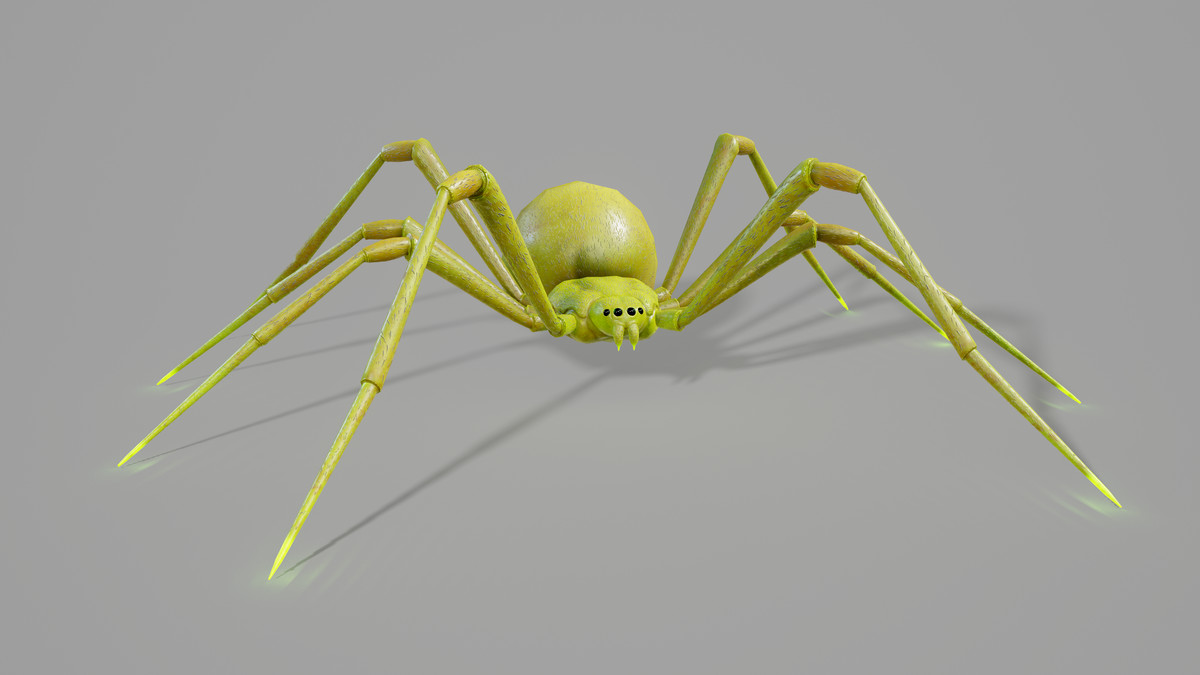 Stylized Spider Creatures Pack