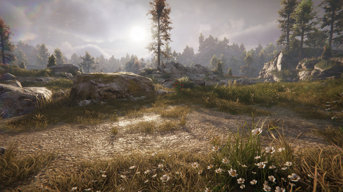 Tobyfredson - Nature Collection