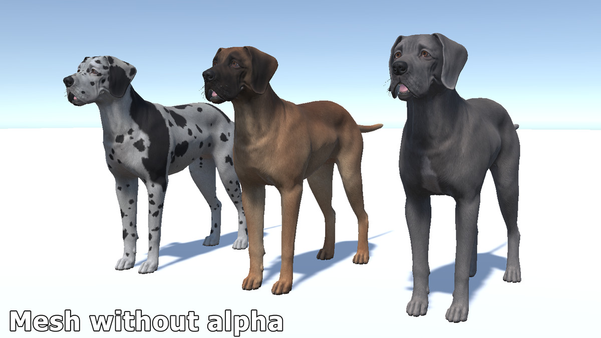 Dog - Great Dane