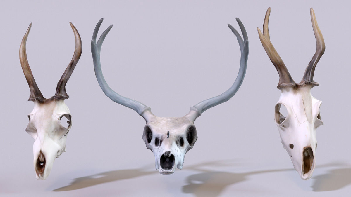 Ultimate Skeleton and Skull Pack. Game-ready low-poly assets