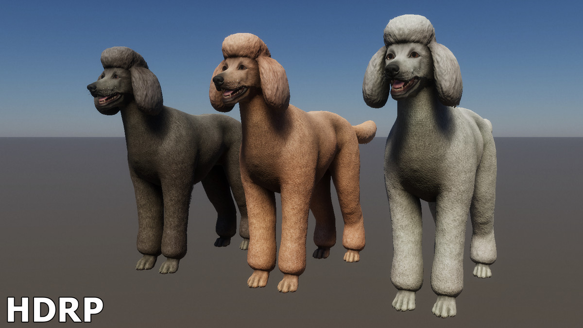Dog - Poodle