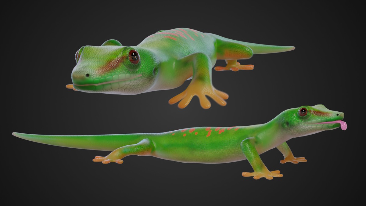 Asset Screenshot 5