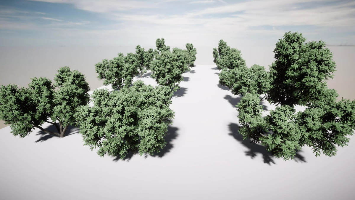 All Tree Bundle (All in One)