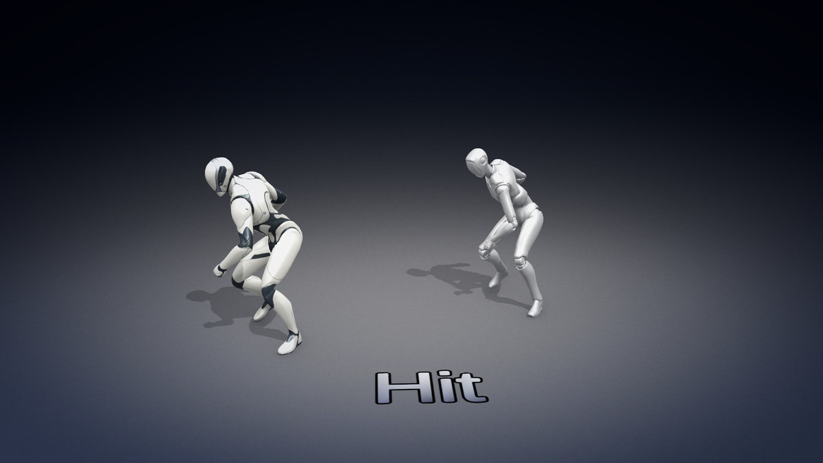 Rage Fighter Anims