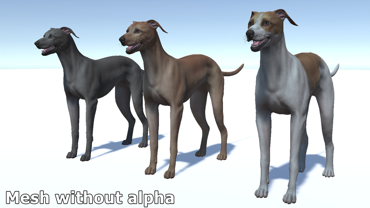Dog -- Greyhound