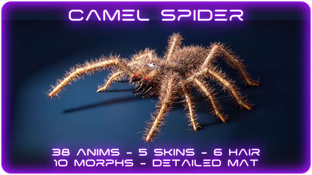 Solifugae Camel Spider, animated and modular monster insect with skins & shader.
