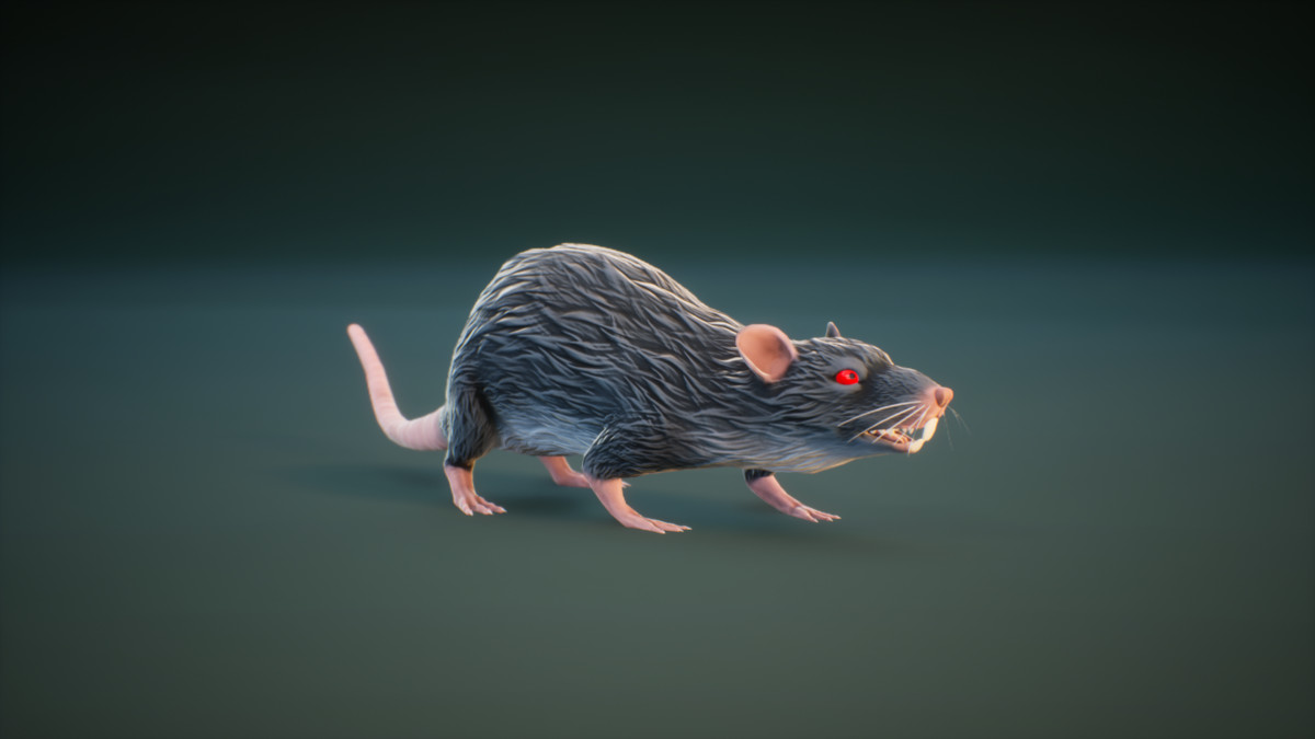 Animal Character Pack