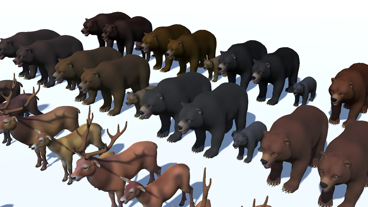 Cartoon Wild Animals