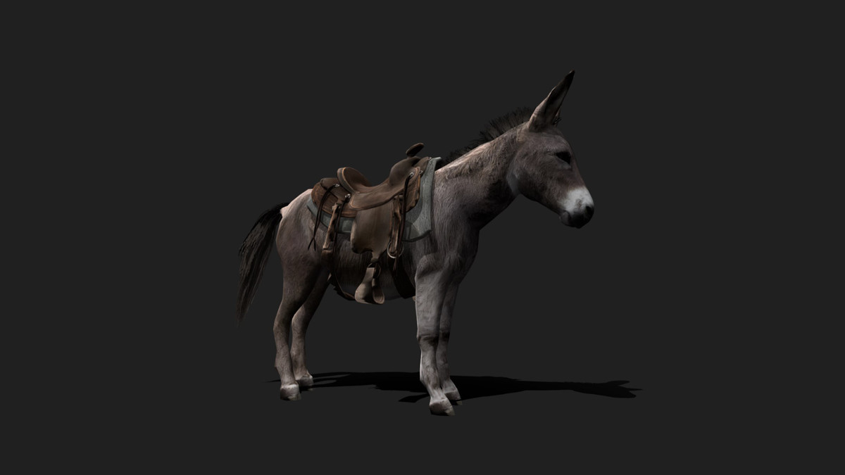 WILDPOLY - Animated Animals – Realistic Pack
