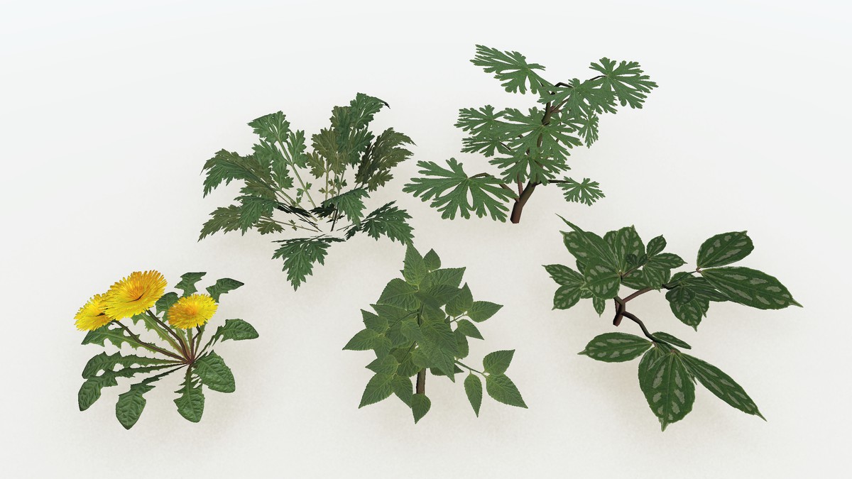 Trees Herbs Plants Pack