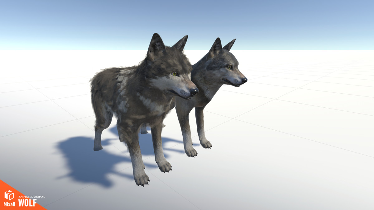 Wolf - animated animal