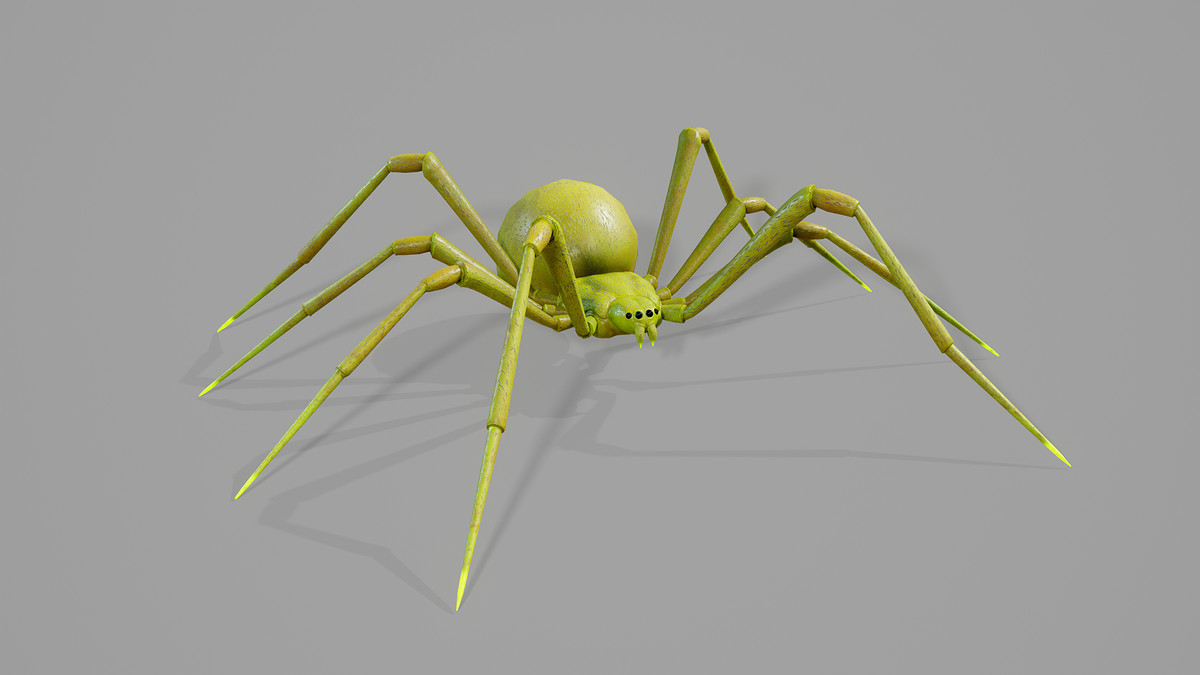 Stylized Spider_2_7 Skin Variants Pack