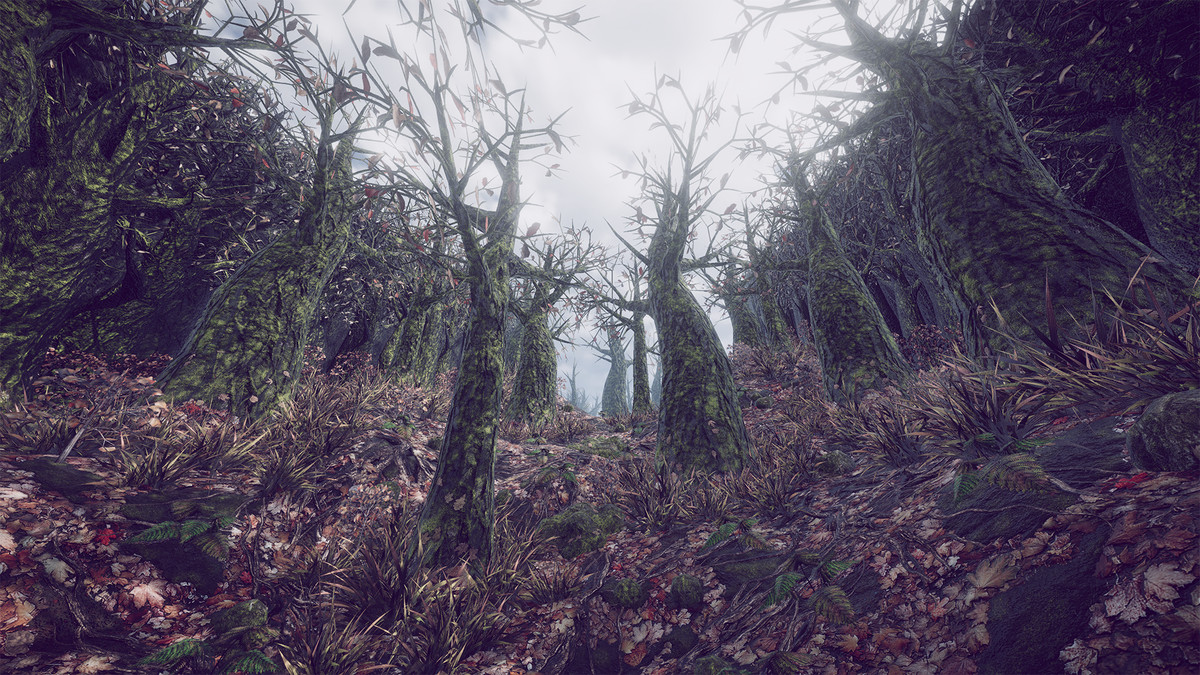 Sad Forest - Map Series 2 -