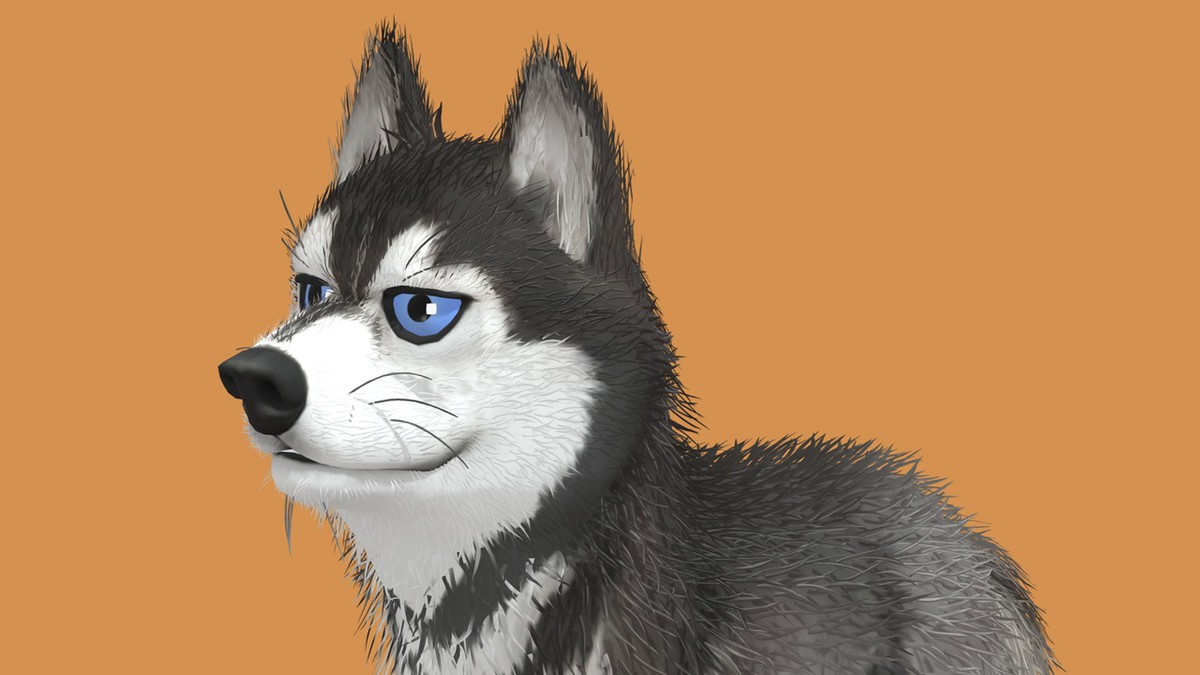 Cute Dog - Husky