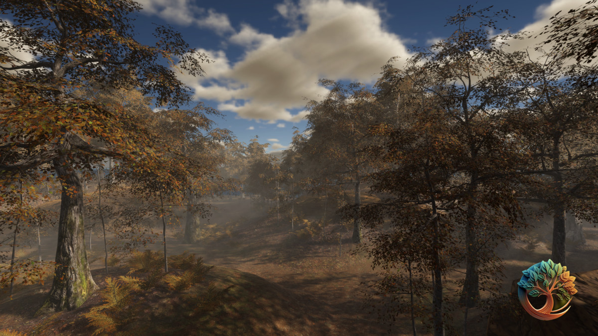 Broadleaf Forest