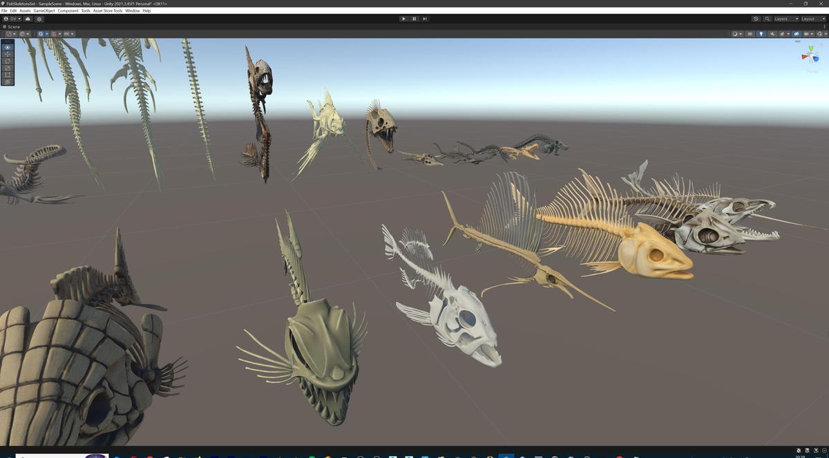 Fish and Underwater Creatures Skeleton Collection – Marine Bone 3D Asset Pack