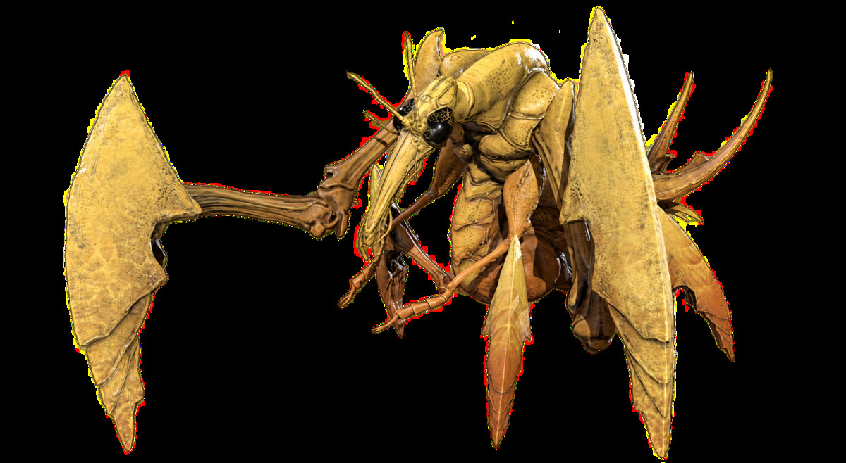 Full Insect Monsters Bundle