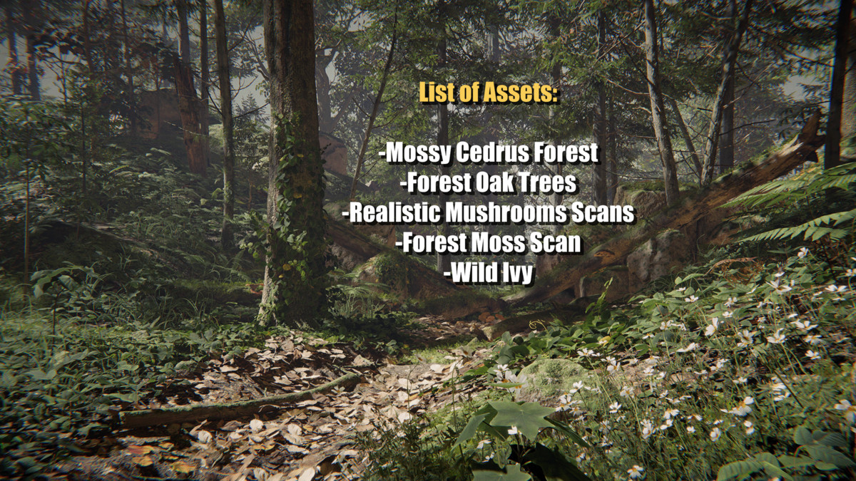 SeedMesh Forest Bundle