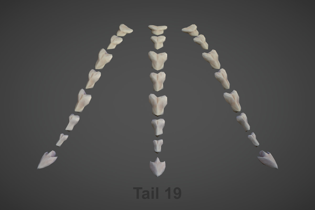 Accessories - Tails