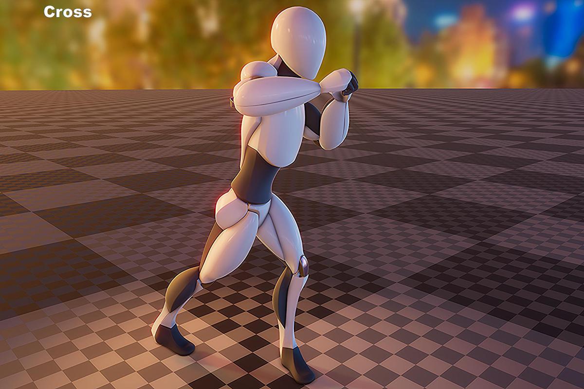 Boxing animation package