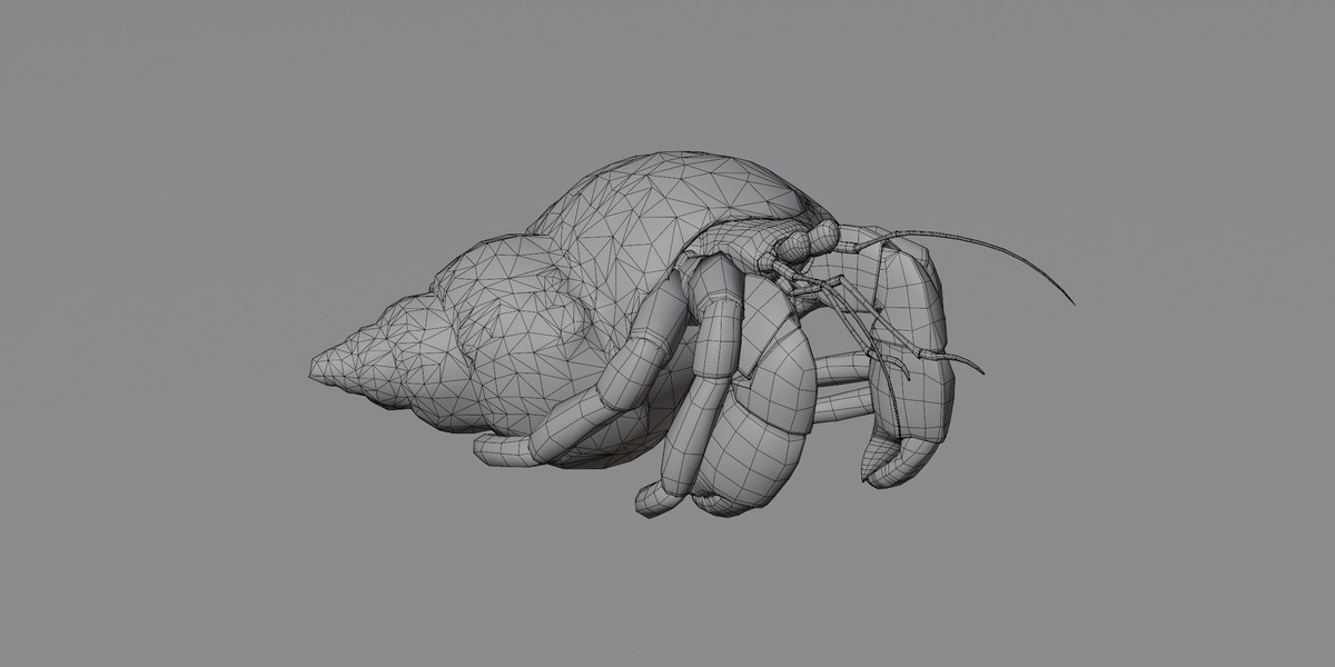 Animated Hermit Crab