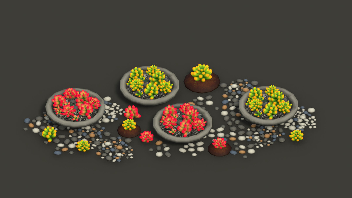 Nature Necessities - Stylized Succulents