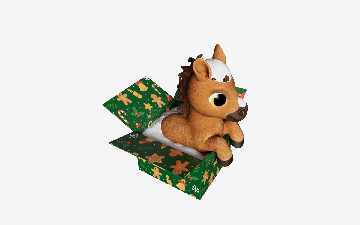 Baby Horse in the box