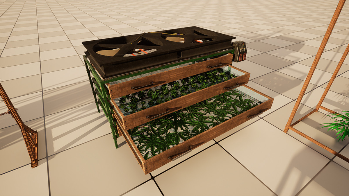 Cannabis (Hemp) Plant 3D Models Pack