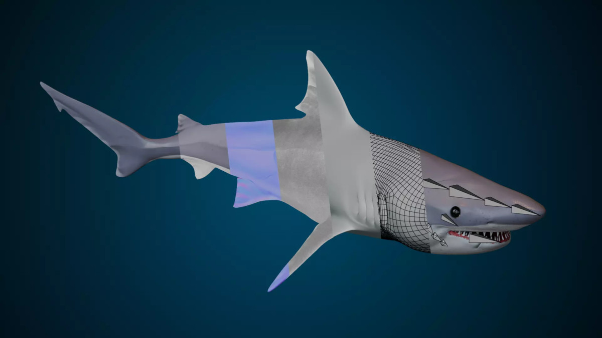 Animated Sharks Bundle