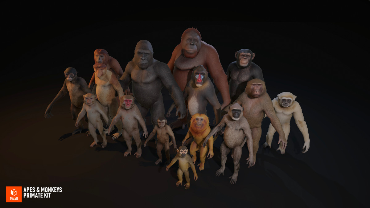 Apes & Monkeys - Primate Kit