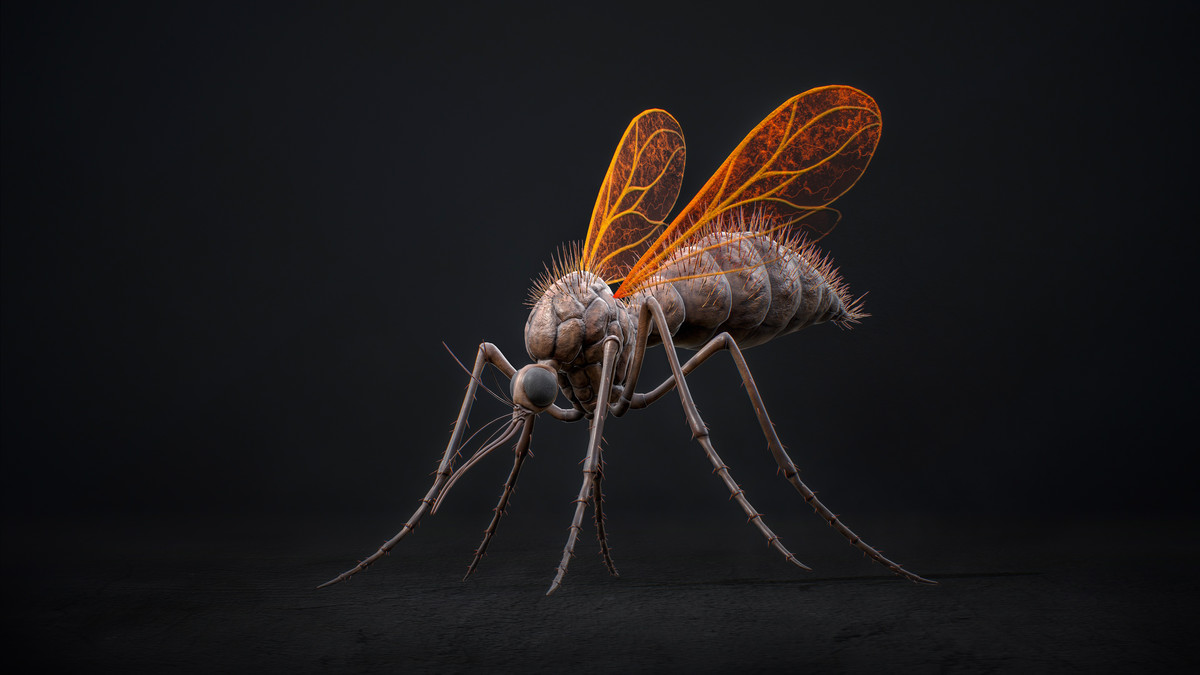 Mosquito Defender - Fantasy Cave Mosquito Creature