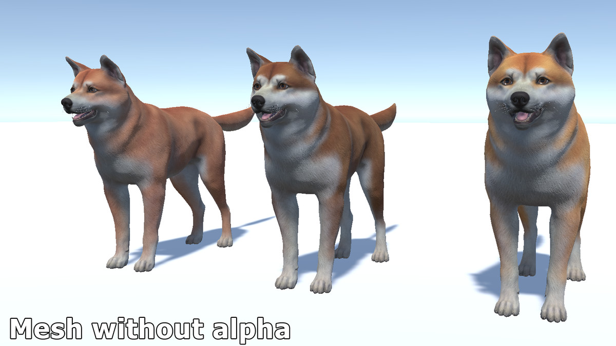 Dog - Akita Inu
