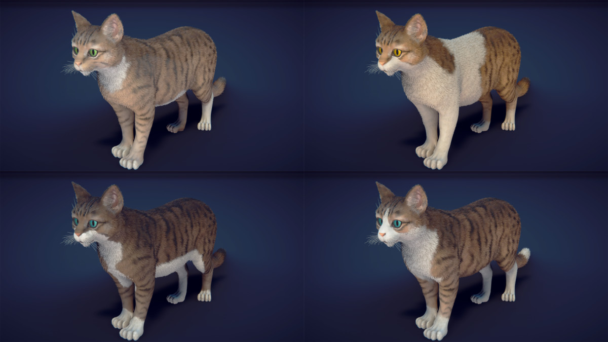 Milo the Cat