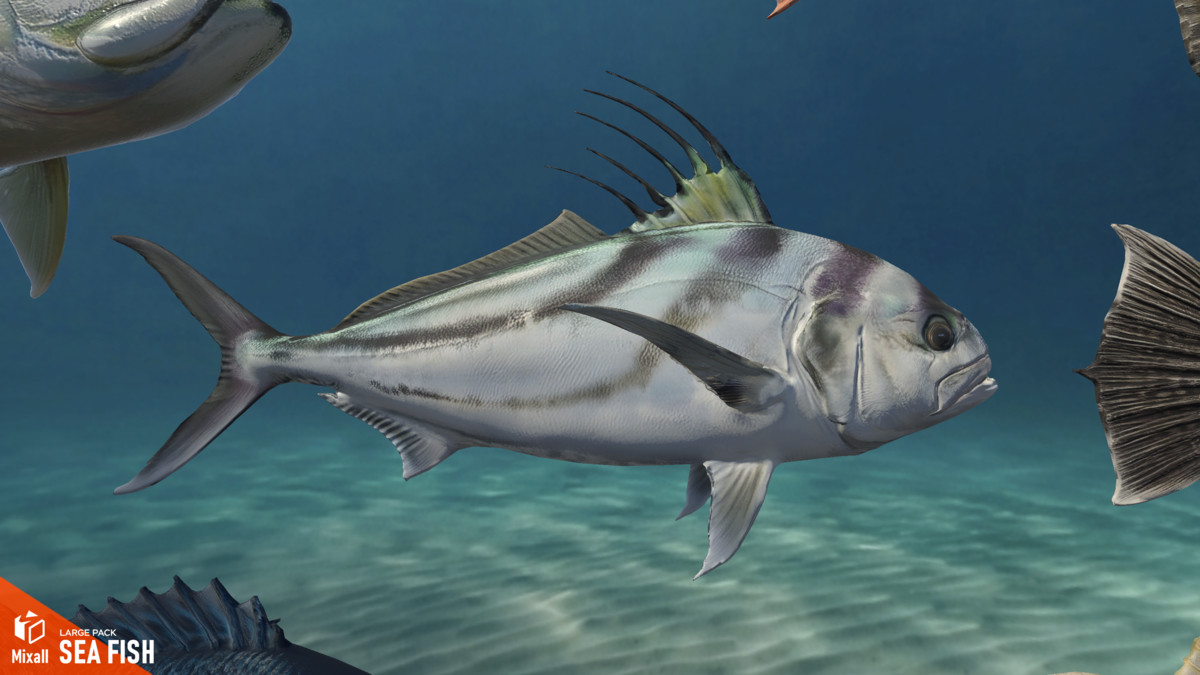 Sea fish - large pack