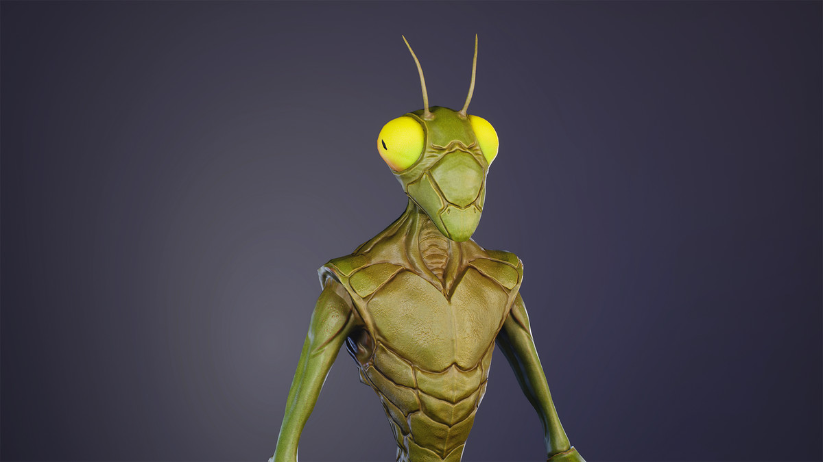 InsectPack