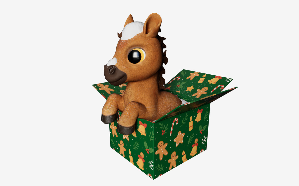 Baby Horse in the box