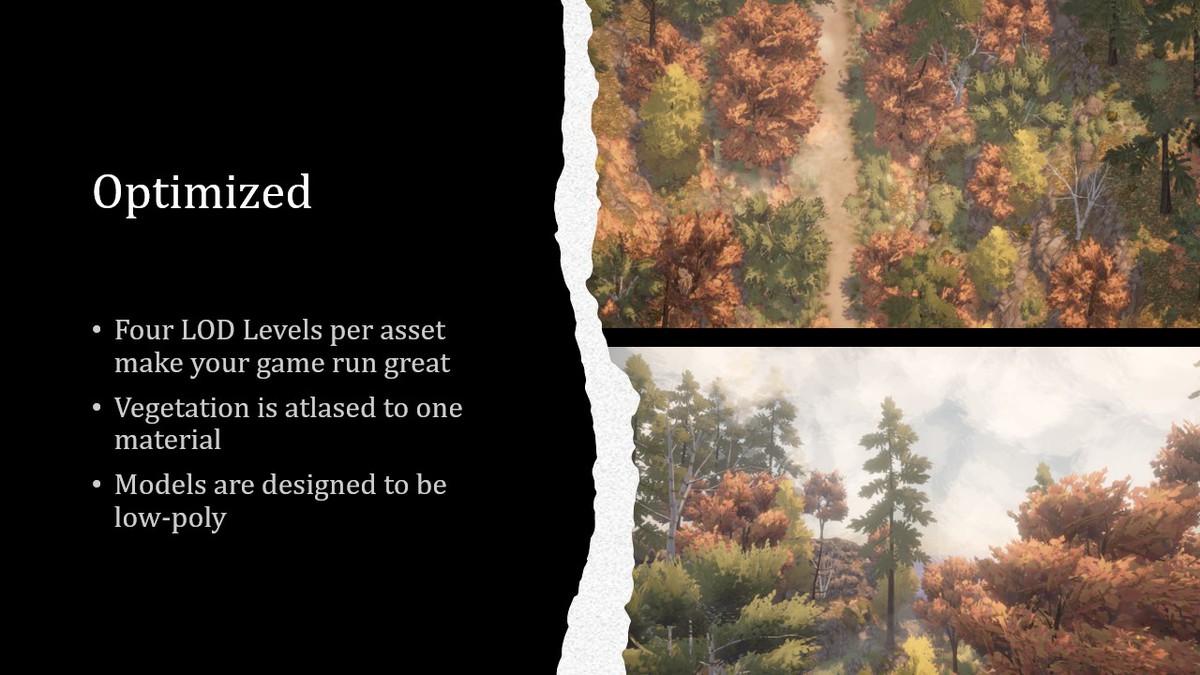 Autumn Forest - Stylized Nature