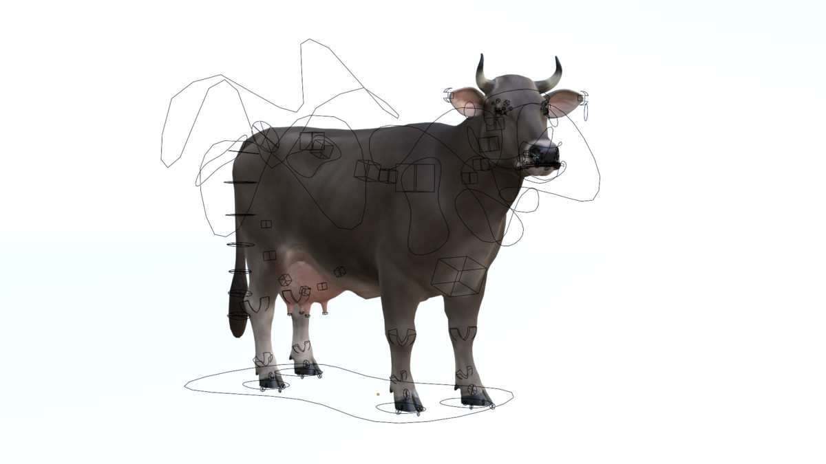 Braunvieh Cow