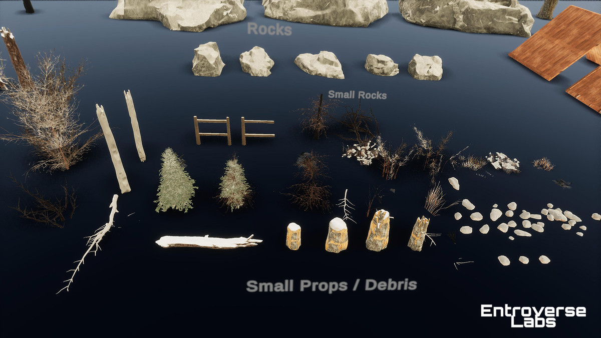 Taiga Biome Environment / Boreal Tundra Forest