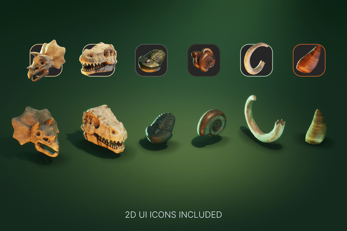 Shatter Stone: Fossils