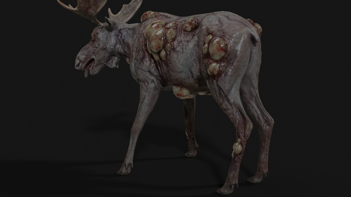 Rot Moose