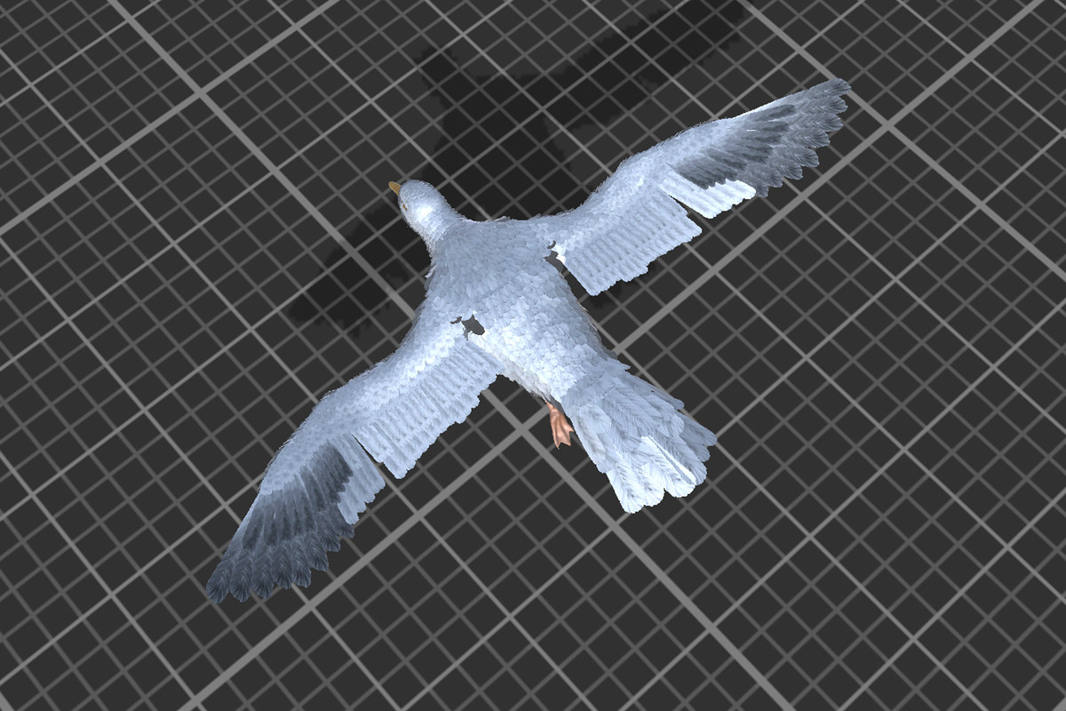 Seagull Feathered