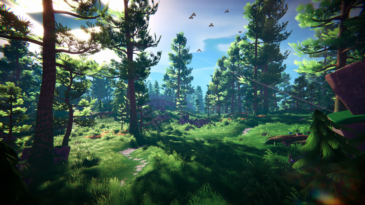 Adventure Nature Vol.6 Forest
