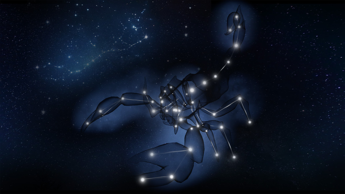 Star scorpion