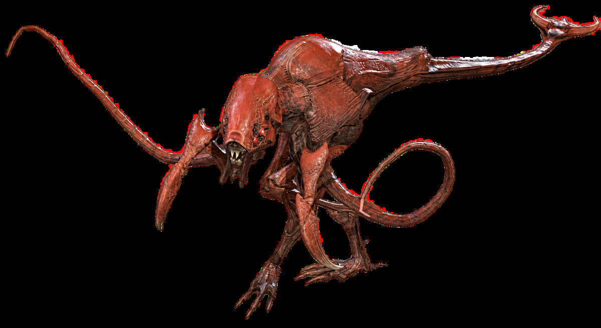Full Insect Monsters Bundle