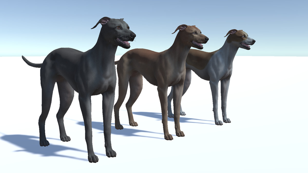 Dog -- Greyhound