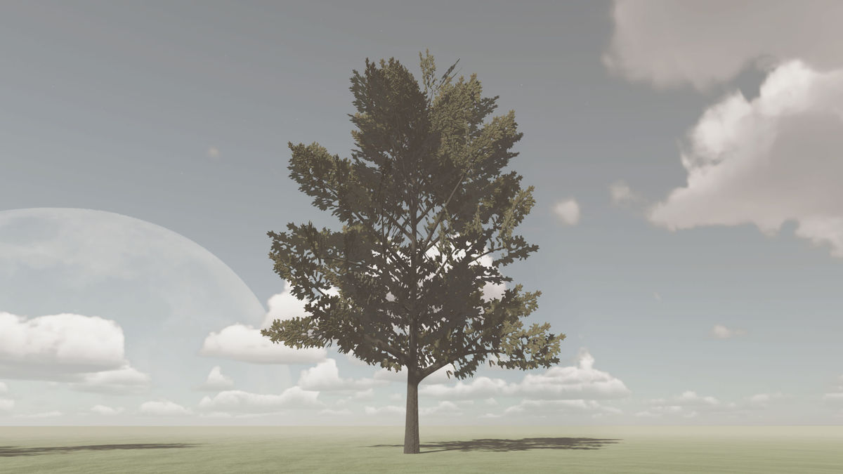 OWA Nature Bundle PRO