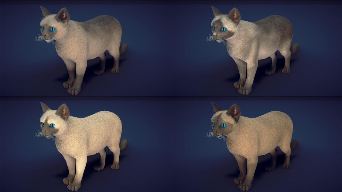 Milo the Cat